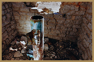 Abandoned groundwater wellhead in rural area.