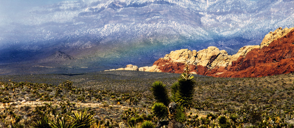 Scenic photo of desert landscape with snow covered mountains and a rainbow.