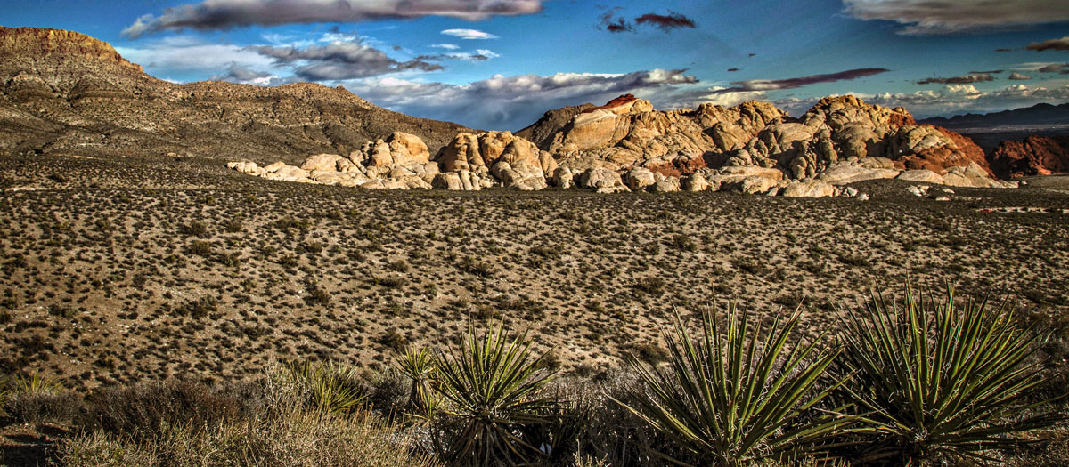 Scenic photo of Red Rock Canyon desert landscape. Photograph by Ed Foster. 